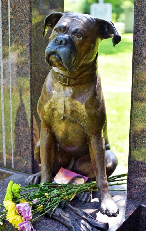 Bronze Boxer Dog Statue